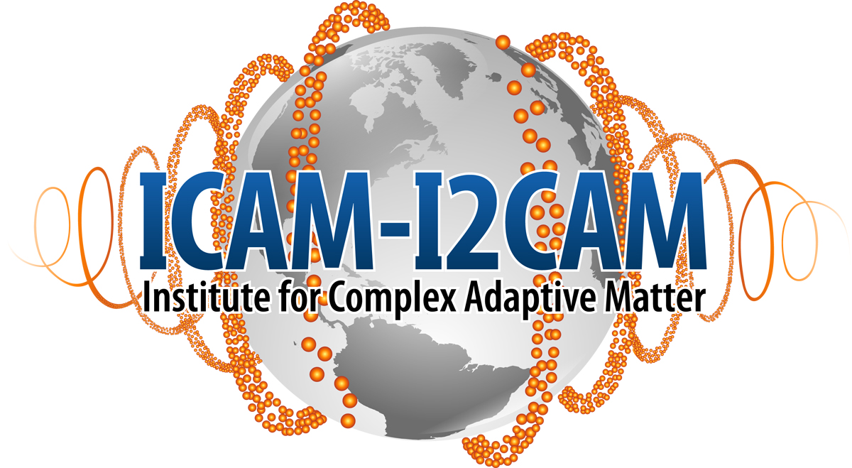 Our Sponsor: ICAM